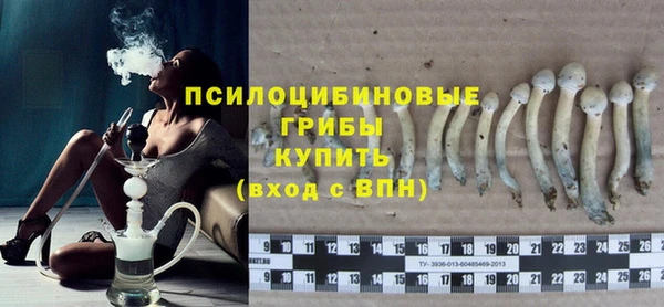 PSILOCYBIN Алзамай