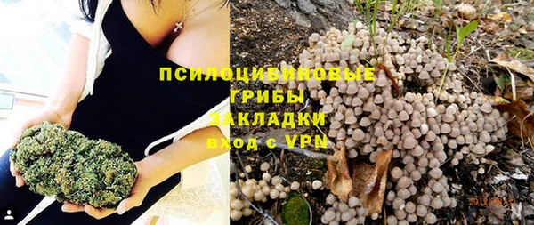 PSILOCYBIN Алзамай