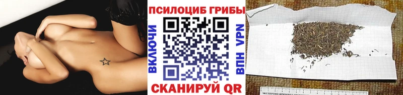 Галлюциногенные грибы мицелий  Заволжск 